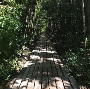 Meet your Posher, Roger